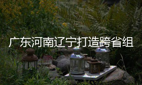 打造队广东辽宁有望 宁河南组合泽涛入选跨省接力三省